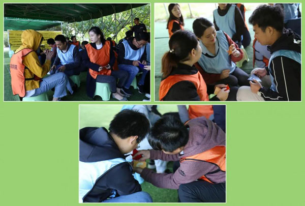 米乐yy易游新能源_厚积薄发_赢胜2021(图16)